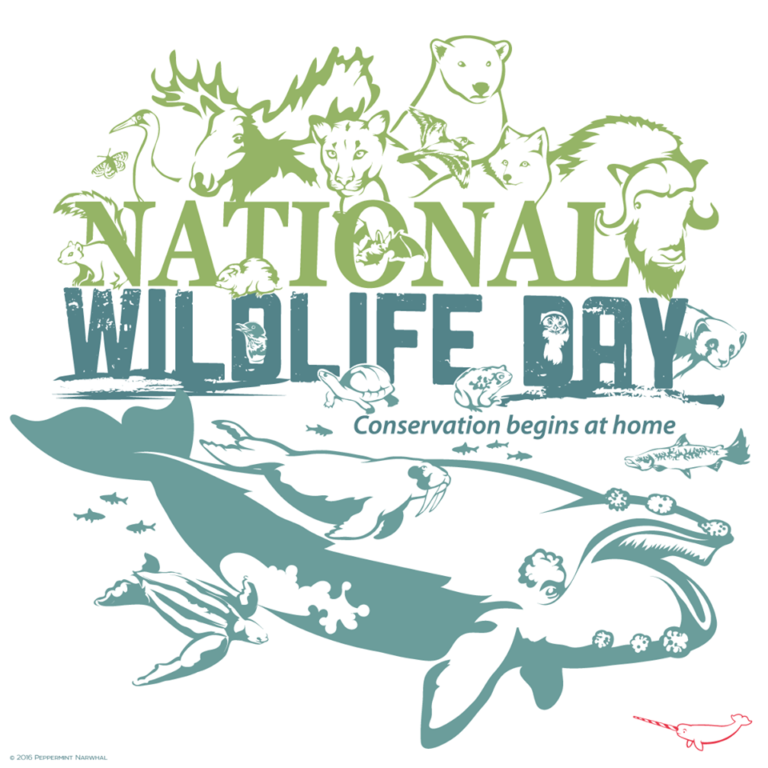 national-wildlife-day-advocatepm