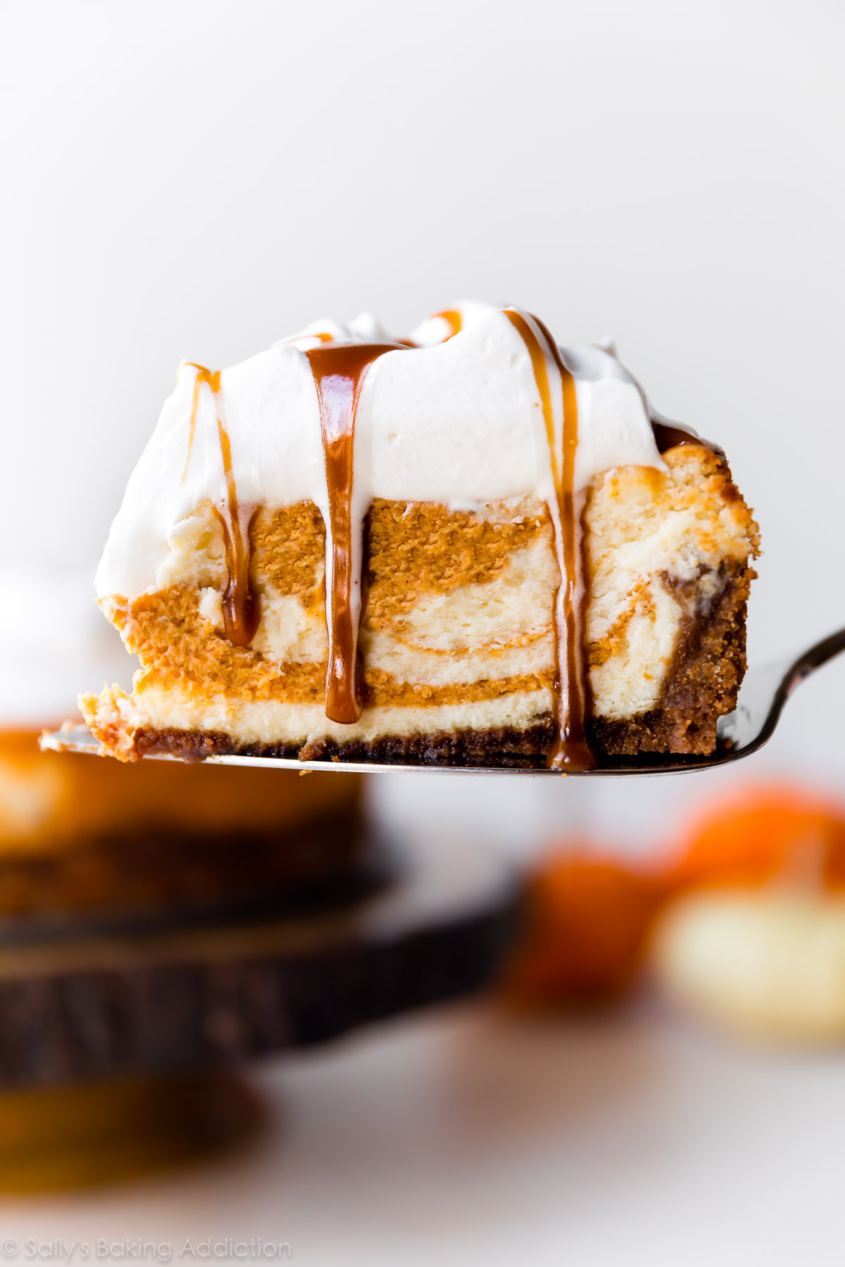 Pumpkin Swirl Cheesecake Recipe | AdvocatePM